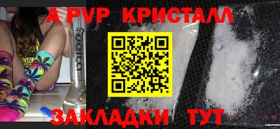 стаф Абакан